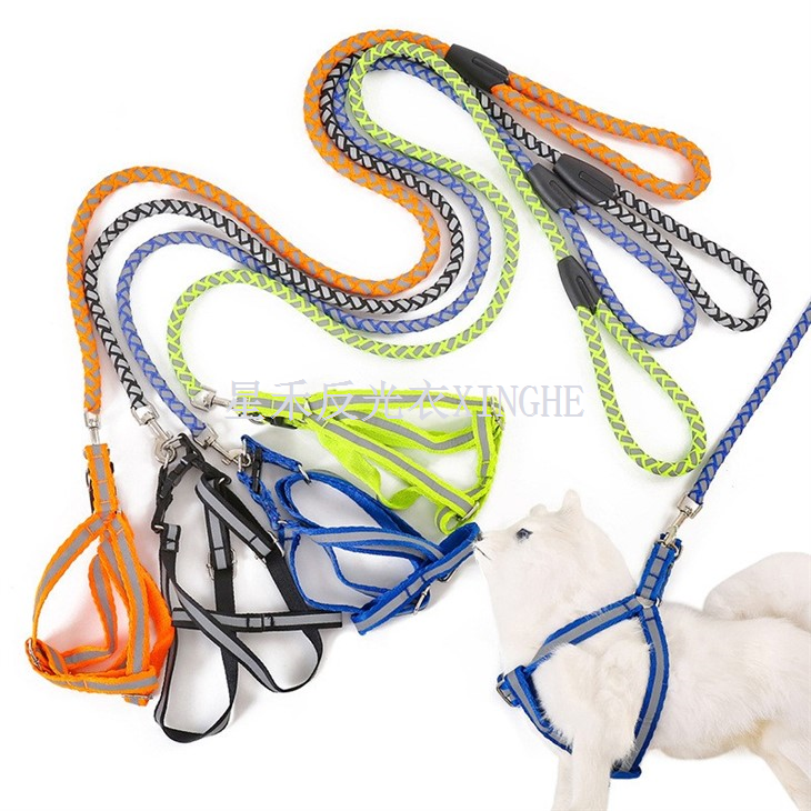 Reflecterende hondenriem